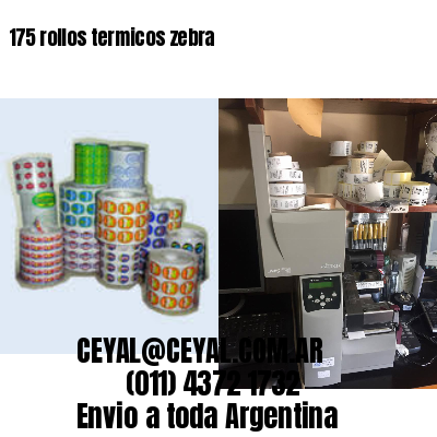 175 rollos termicos zebra