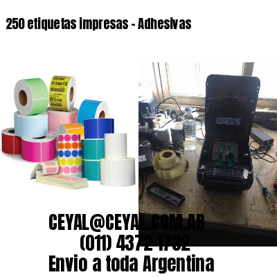 250 etiquetas impresas – Adhesivas