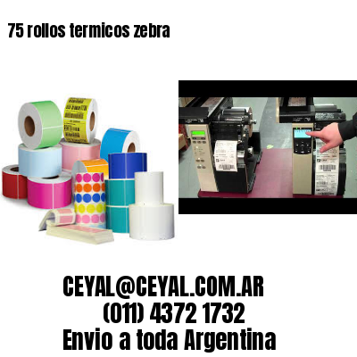 75 rollos termicos zebra