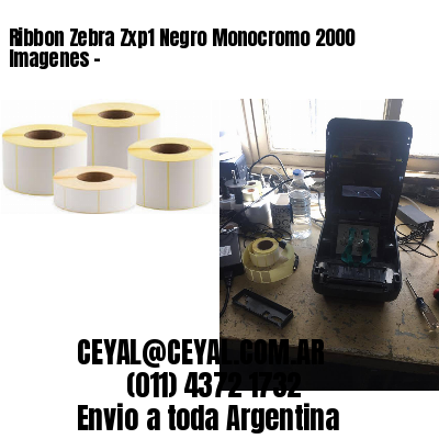 Ribbon Zebra Zxp1 Negro Monocromo 2000 Imagenes –