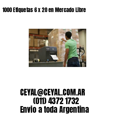 1000 Etiquetas 6 x 20 en Mercado Libre
