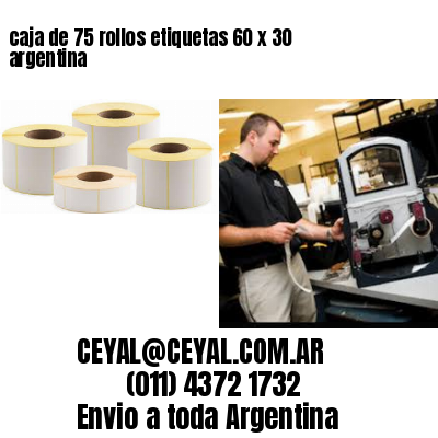 caja de 75 rollos etiquetas 60 x 30 argentina