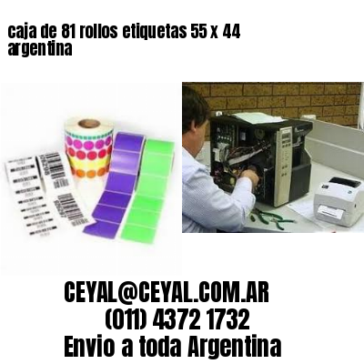 caja de 81 rollos etiquetas 55 x 44 argentina