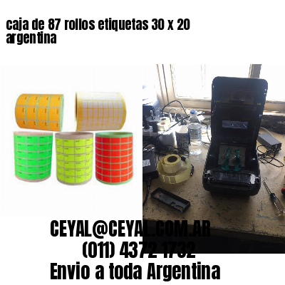caja de 87 rollos etiquetas 30 x 20 argentina