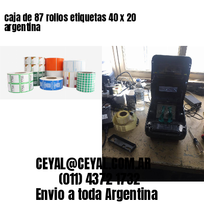 caja de 87 rollos etiquetas 40 x 20 argentina