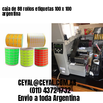 caja de 88 rollos etiquetas 100 x 100 argentina