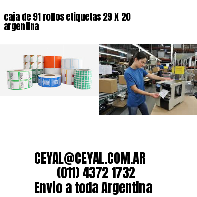 caja de 91 rollos etiquetas 29 X 20 argentina