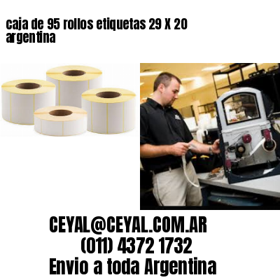 caja de 95 rollos etiquetas 29 X 20 argentina