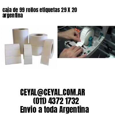 caja de 99 rollos etiquetas 29 X 20 argentina