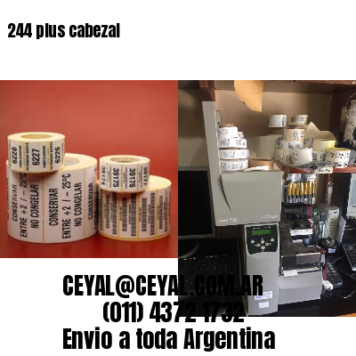 244 plus cabezal
