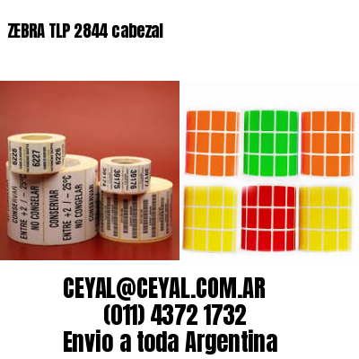 ZEBRA TLP 2844 cabezal