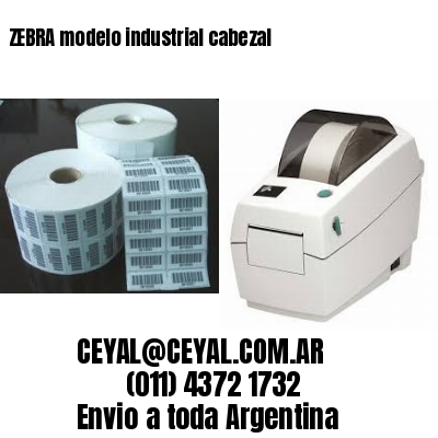 ZEBRA modelo industrial cabezal