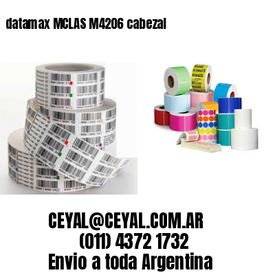 datamax MCLAS M4206 cabezal