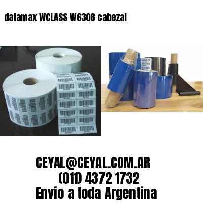 datamax WCLASS W6308 cabezal