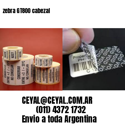 zebra GT800 cabezal