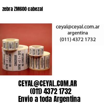 zebra ZM600 cabezal