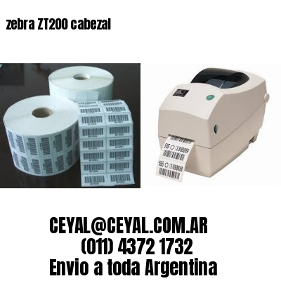 zebra ZT200 cabezal