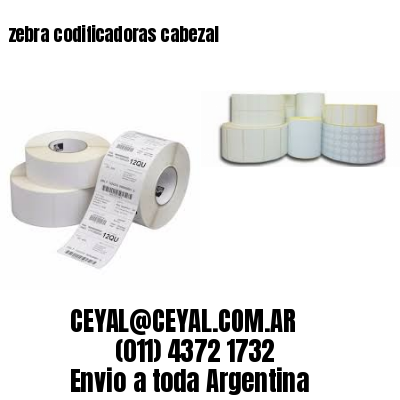 zebra codificadoras cabezal