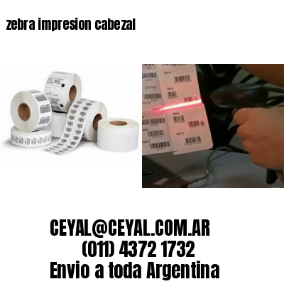 zebra impresion cabezal