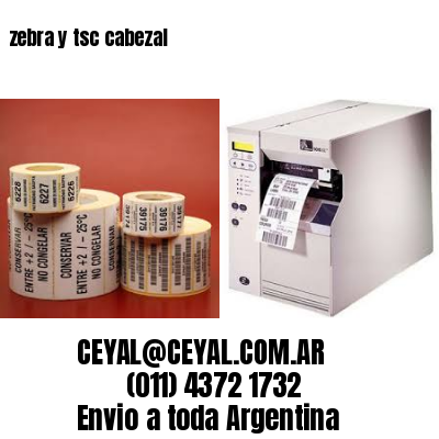 zebra y tsc cabezal