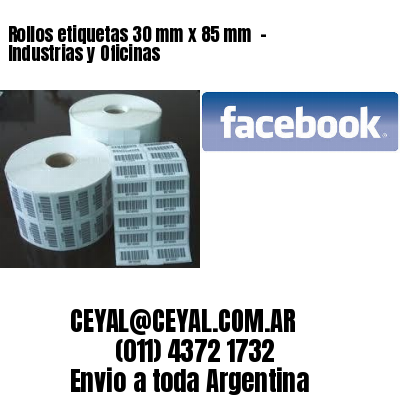 Rollos etiquetas 30 mm x 85 mm  – Industrias y Oficinas