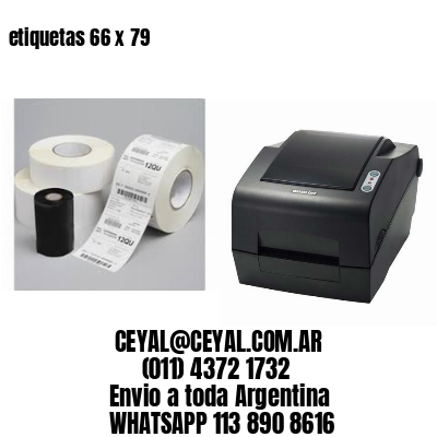 etiquetas 66 x 79