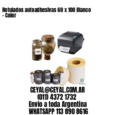 Rotulados autoadhesivas 60 x 100 Blanco – Color