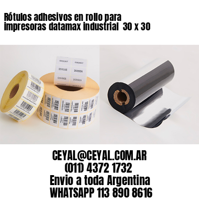 Rótulos adhesivos en rollo para impresoras datamax industrial  30 x 30