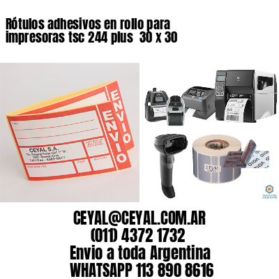 Rótulos adhesivos en rollo para impresoras tsc 244 plus  30 x 30