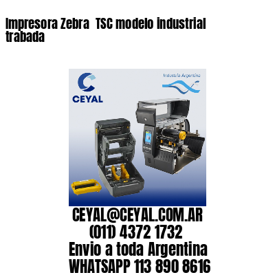 Impresora Zebra  TSC modelo industrial trabada