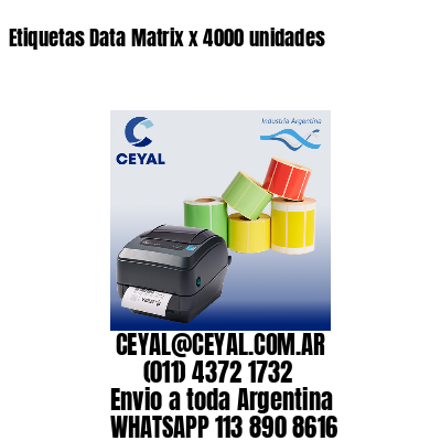 Etiquetas Data Matrix x 4000 unidades