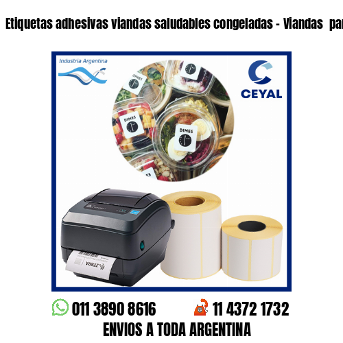 Etiquetas adhesivas viandas saludables congeladas – Viandas  para freezer