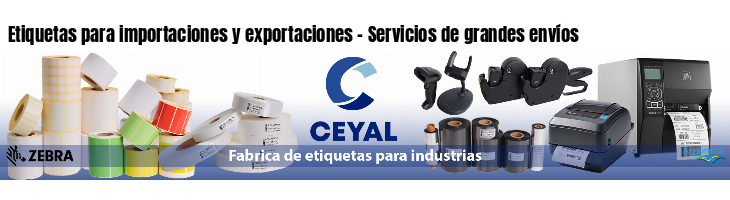 Etiquetas para importaciones y exportaciones - Servicios de grandes envíos