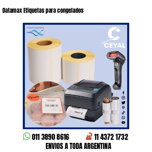 Datamax Etiquetas para congelados