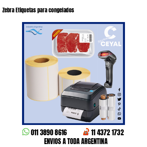 Zebra Etiquetas para congelados