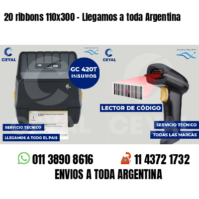 20 ribbons 110x300 - Llegamos a toda Argentina