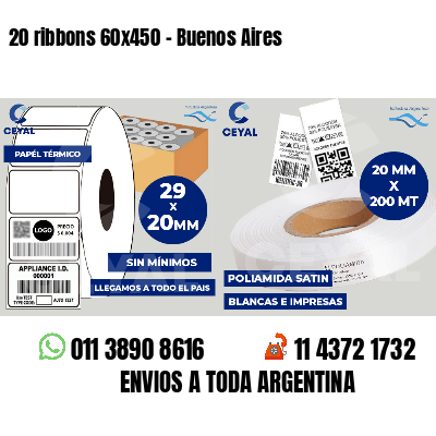 20 ribbons 60x450 - Buenos Aires