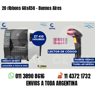 20 ribbons 60x450 - Buenos Aires
