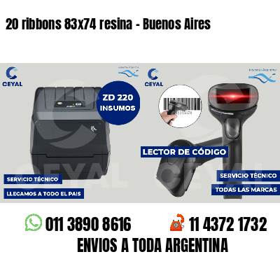 20 ribbons 83x74 resina - Buenos Aires