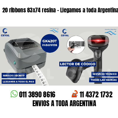 20 ribbons 83x74 resina - Llegamos a toda Argentina