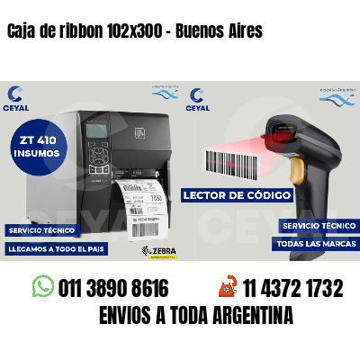 Caja de ribbon 102x300 - Buenos Aires