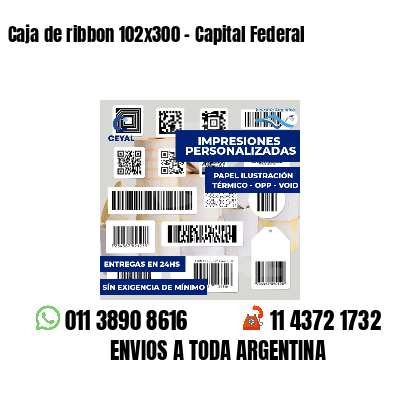 Caja de ribbon 102x300 - Capital Federal