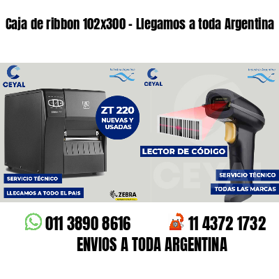 Caja de ribbon 102x300 - Llegamos a toda Argentina