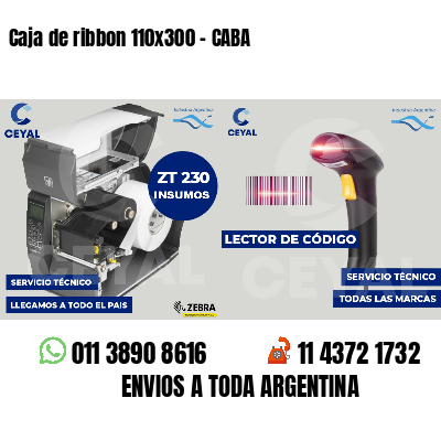 Caja de ribbon 110x300 - CABA