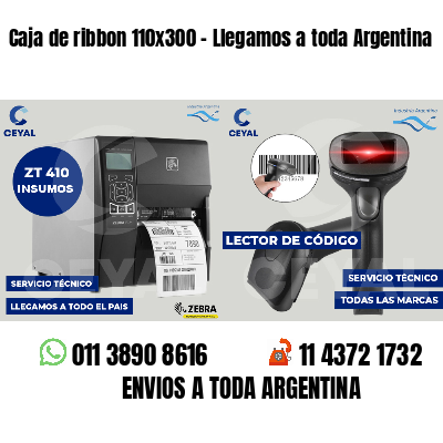 Caja de ribbon 110x300 - Llegamos a toda Argentina
