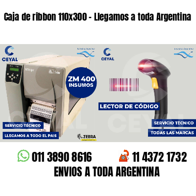 Caja de ribbon 110x300 - Llegamos a toda Argentina