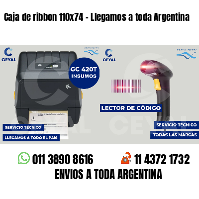 Caja de ribbon 110x74 - Llegamos a toda Argentina