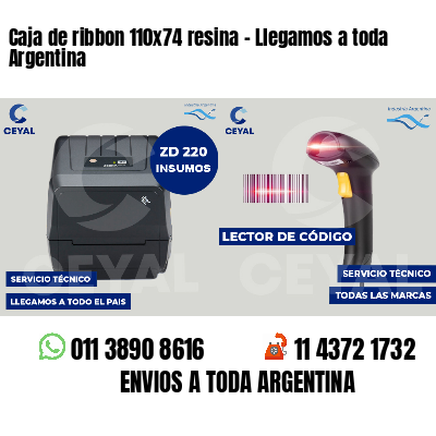 Caja de ribbon 110x74 resina - Llegamos a toda Argentina