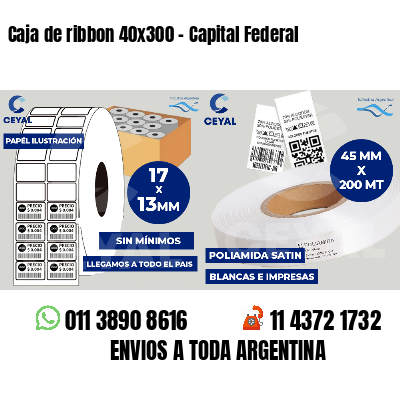 Caja de ribbon 40x300 - Capital Federal