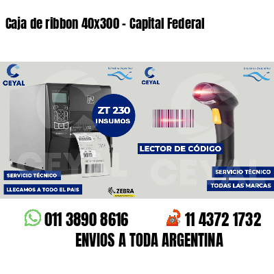 Caja de ribbon 40x300 - Capital Federal